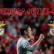 Roger Schmidt: "O Benfica sente-se"